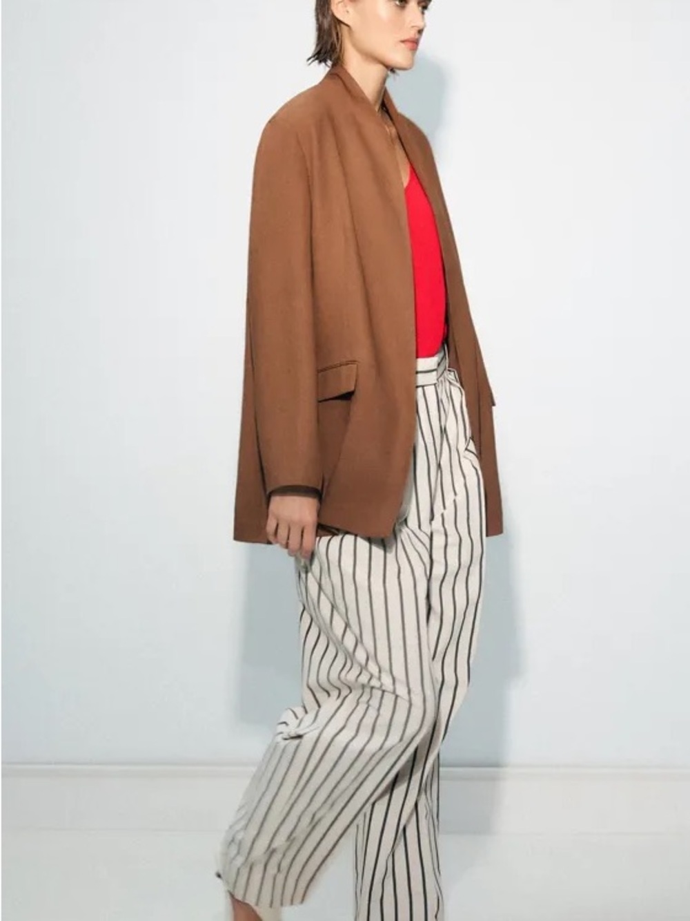 Zara ZW Collection Striped Pleated Pants